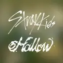 @straykids_japan avatar